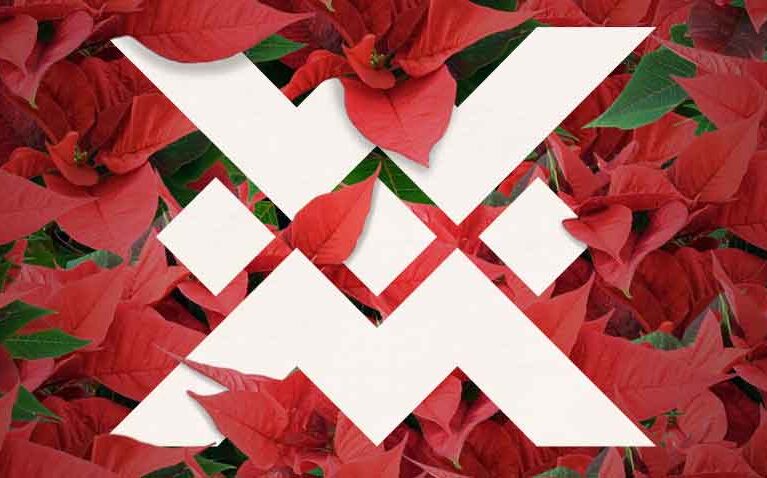 Programa navideño en Casa de México en España