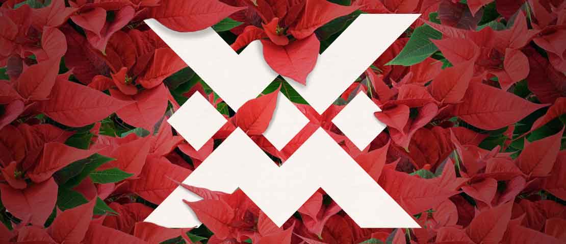 Programa navideño en Casa de México en España