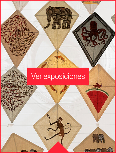 Exposiciones