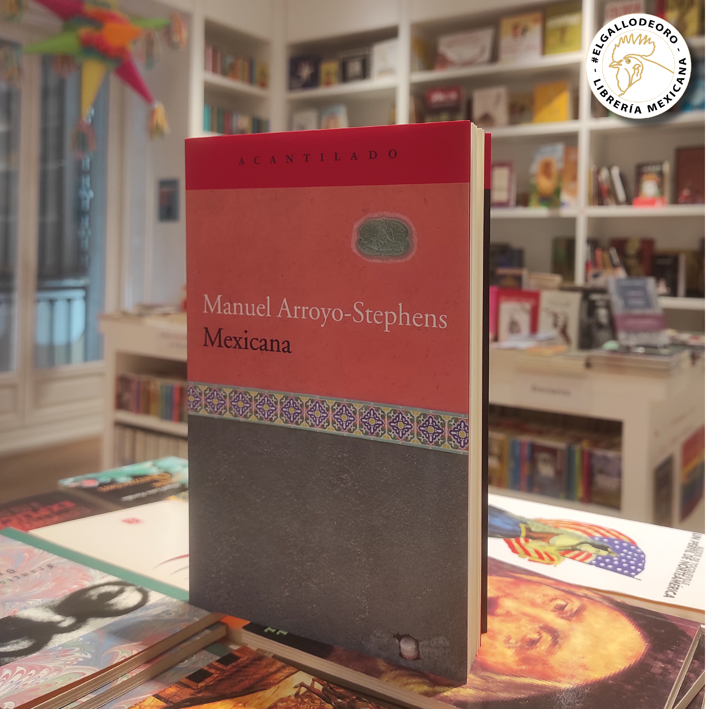 que leer mexicana de manuel arroyo stephens