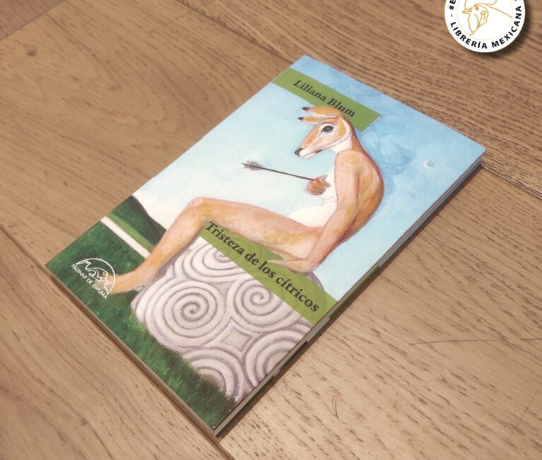 Tristeza de los críticos, qué leer literatura mexicana