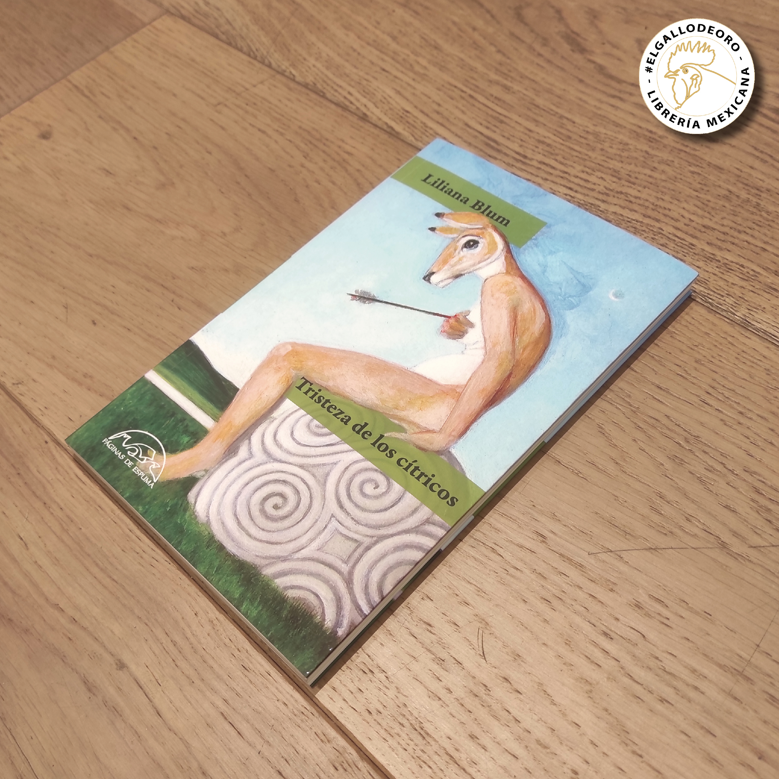 Tristeza de los críticos, qué leer literatura mexicana