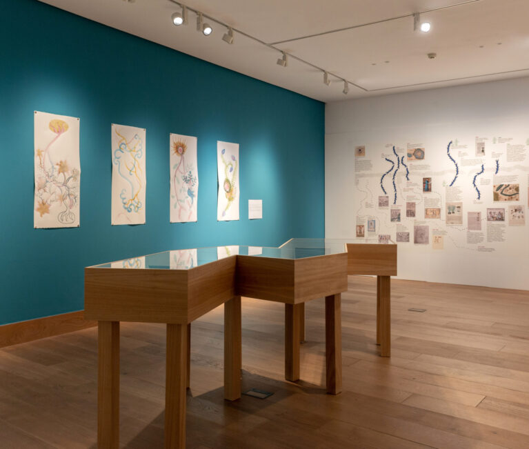 Exposicion gratis Remedio Milenario Códice de la Cruz - Badiano p. 61