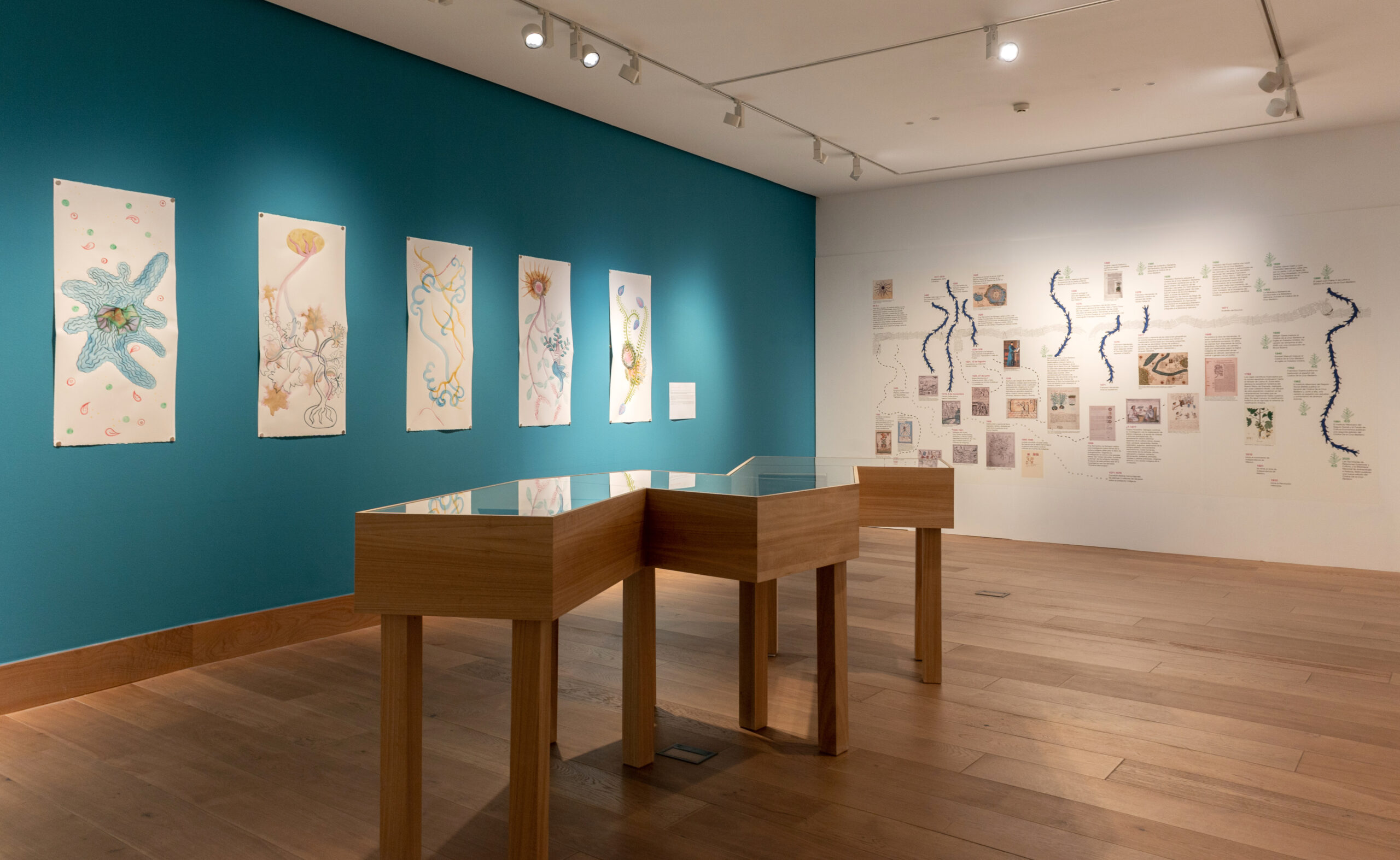 Exposicion gratis Remedio Milenario Códice de la Cruz - Badiano p. 61