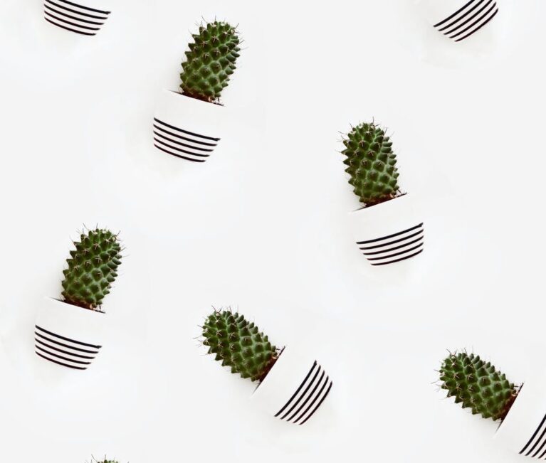 Talleres infantiles para familias Casa de México en España