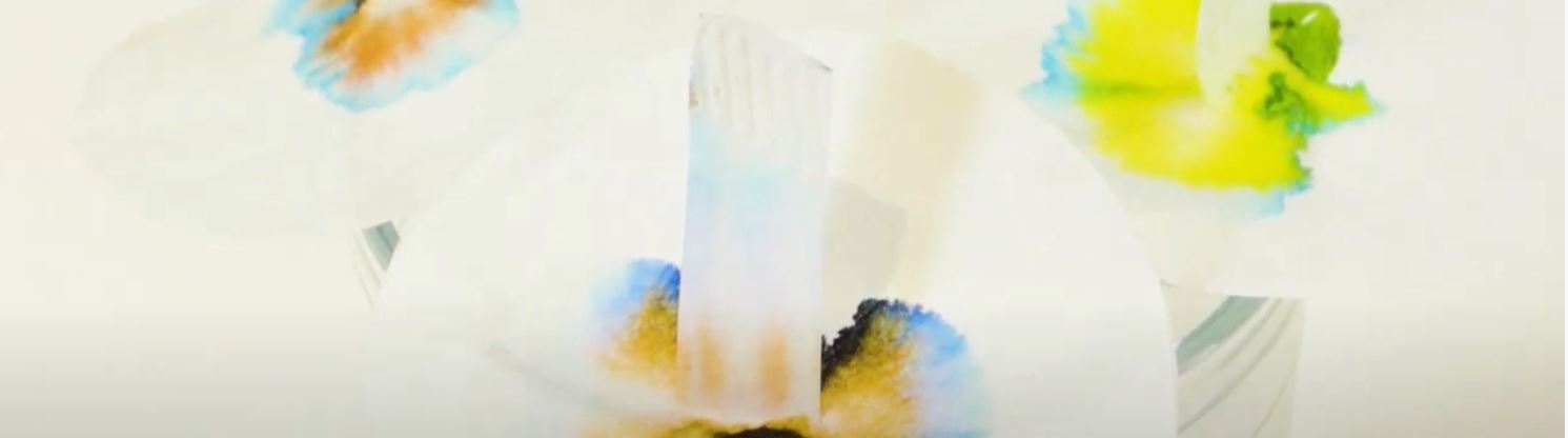 Taller de manualidades gratis de flores de cromatografía