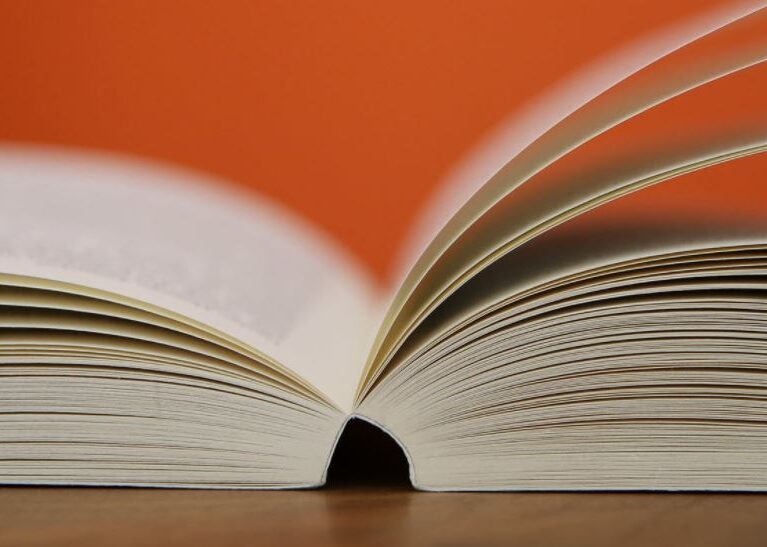 Cuento online la leyenda del murcielago