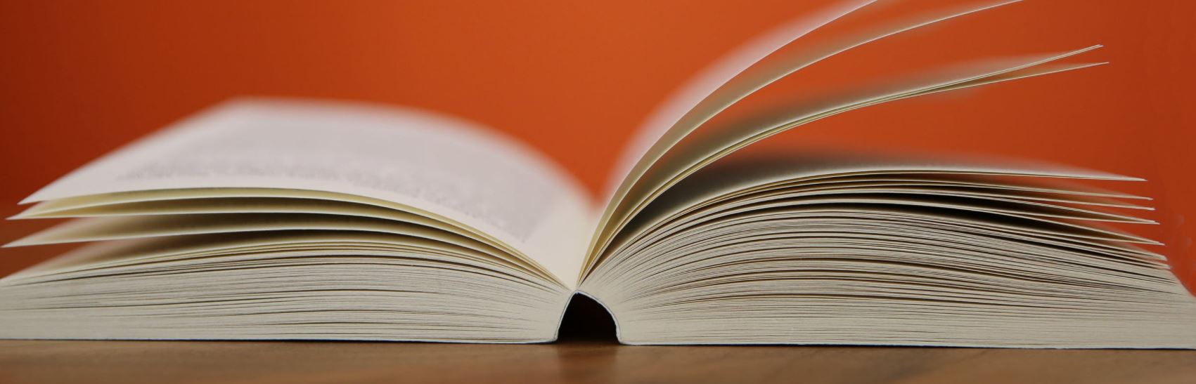 Cuento online la leyenda del murcielago