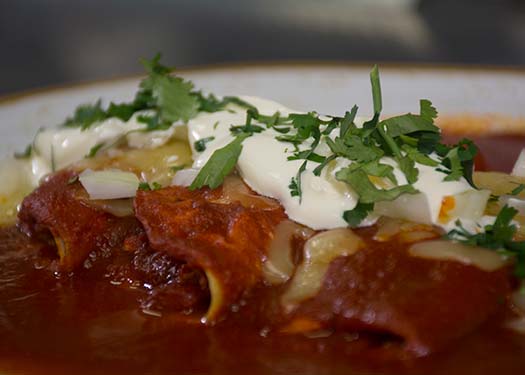 ENCHILADAS ROJAS DE POLLO ENCHILADAS ROJAS DE POLLO