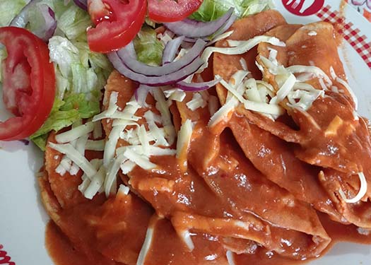 ENFRIJOLADAS DE POLLO ENFRIJOLADAS DE POLLO