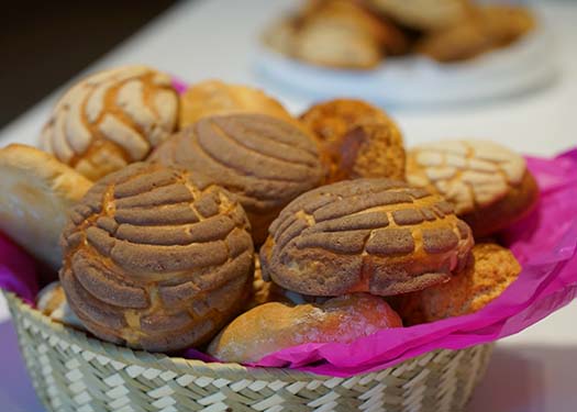 CONCHAS CASERAS CONCHAS CASERAS