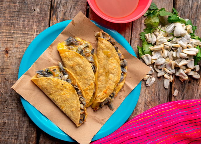 Quesadillas de Huitlacoche 