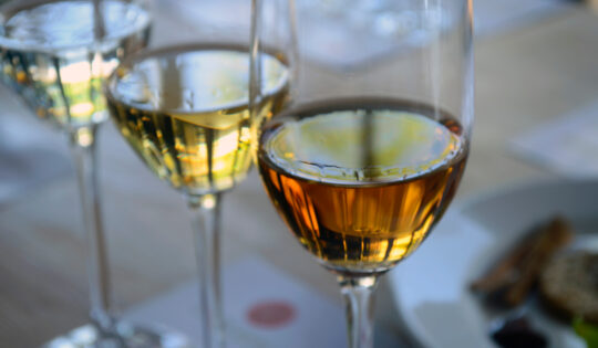 Entre Sabores | Cata de tequila mayo