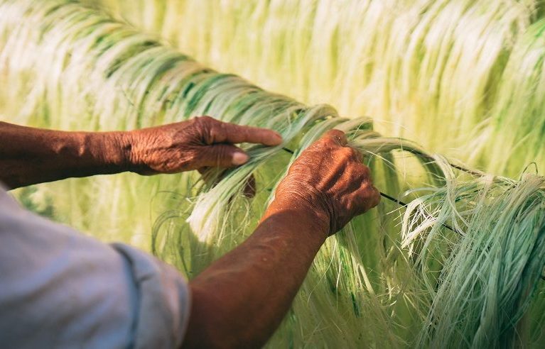 Taller Hecho a mano | Del henequén al esparto: el mestizaje a través de las fibras naturales
