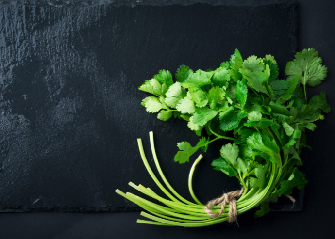 Ensalada con aliño de cilantro