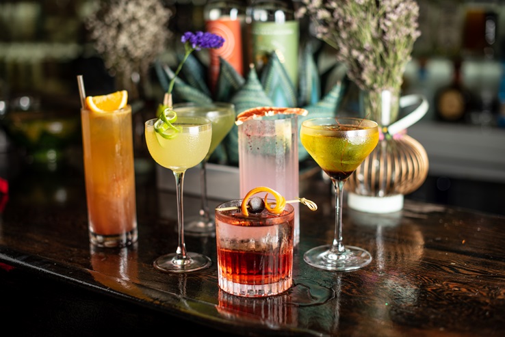 Catas de Sotol | Entre Sabores