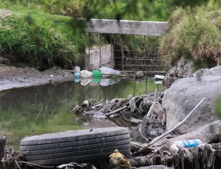 2024-06 Ciclo_Cine_Con ciencia verde_h2omx_portada