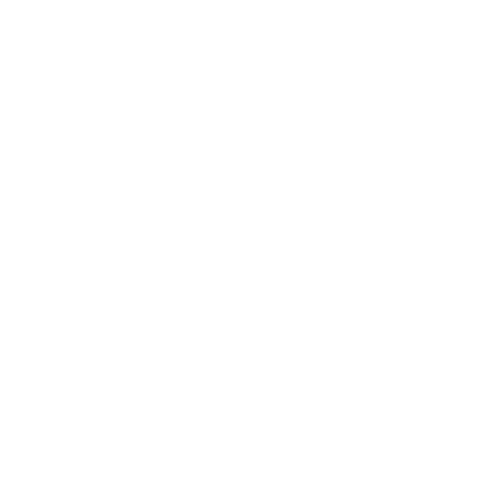 100% México 
