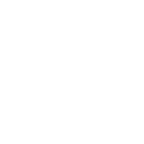 Abarrotes Foods