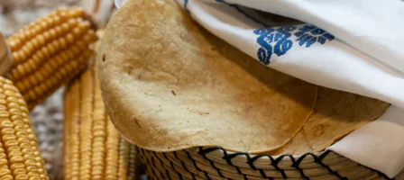 Imprescindibles mexicanos