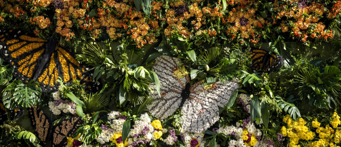 Exposición | Bienvenida la primavera 2025