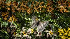 Exposición | Bienvenida la primavera 2025