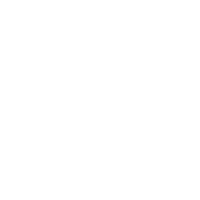Rosa Negra