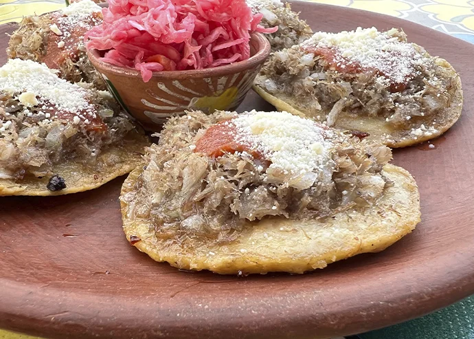 Garnachas istmeñas