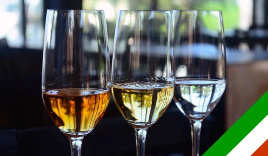 Mes Patrio | Entre Sabores | Cata de tequila septiembre