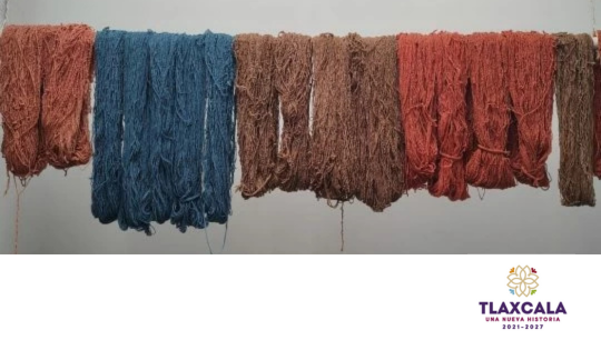 Programa de actividades Tlaxcala | Taller: Teñido con tintes naturales para fibras de lana