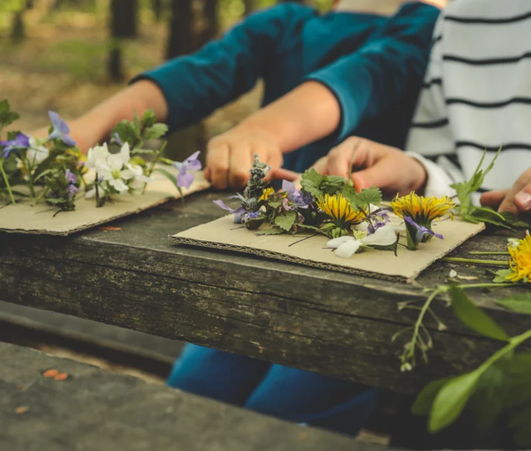 Talleres científicos para niños 2026 | Los colores de las flores