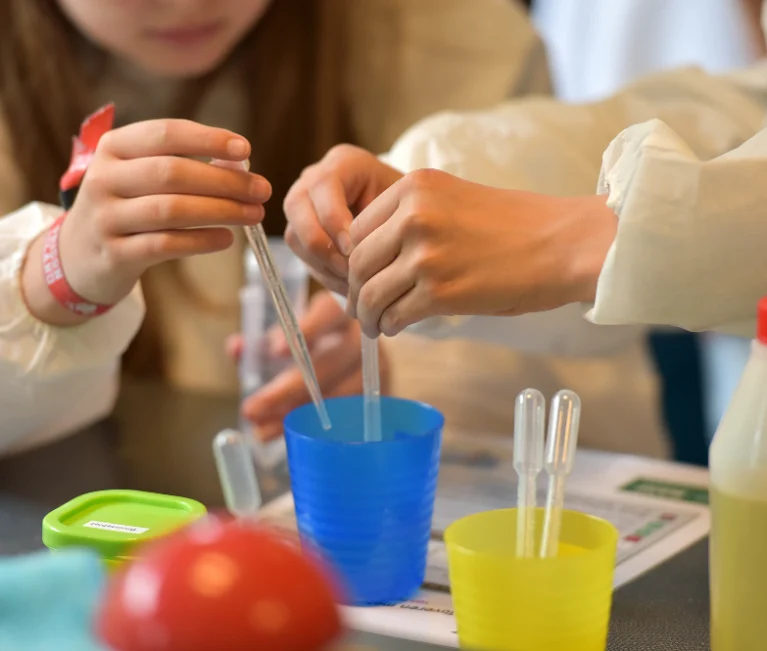 Talleres científicos para niños 2026 | Los secretos del ADN del maíz