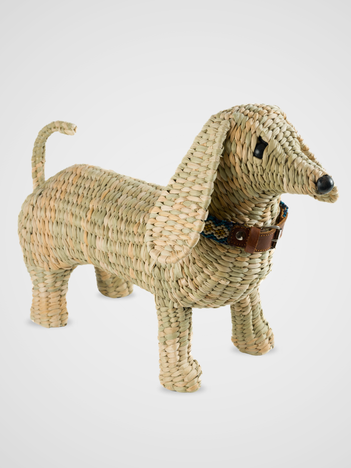 PERRO_Chuspata_Michoacán web