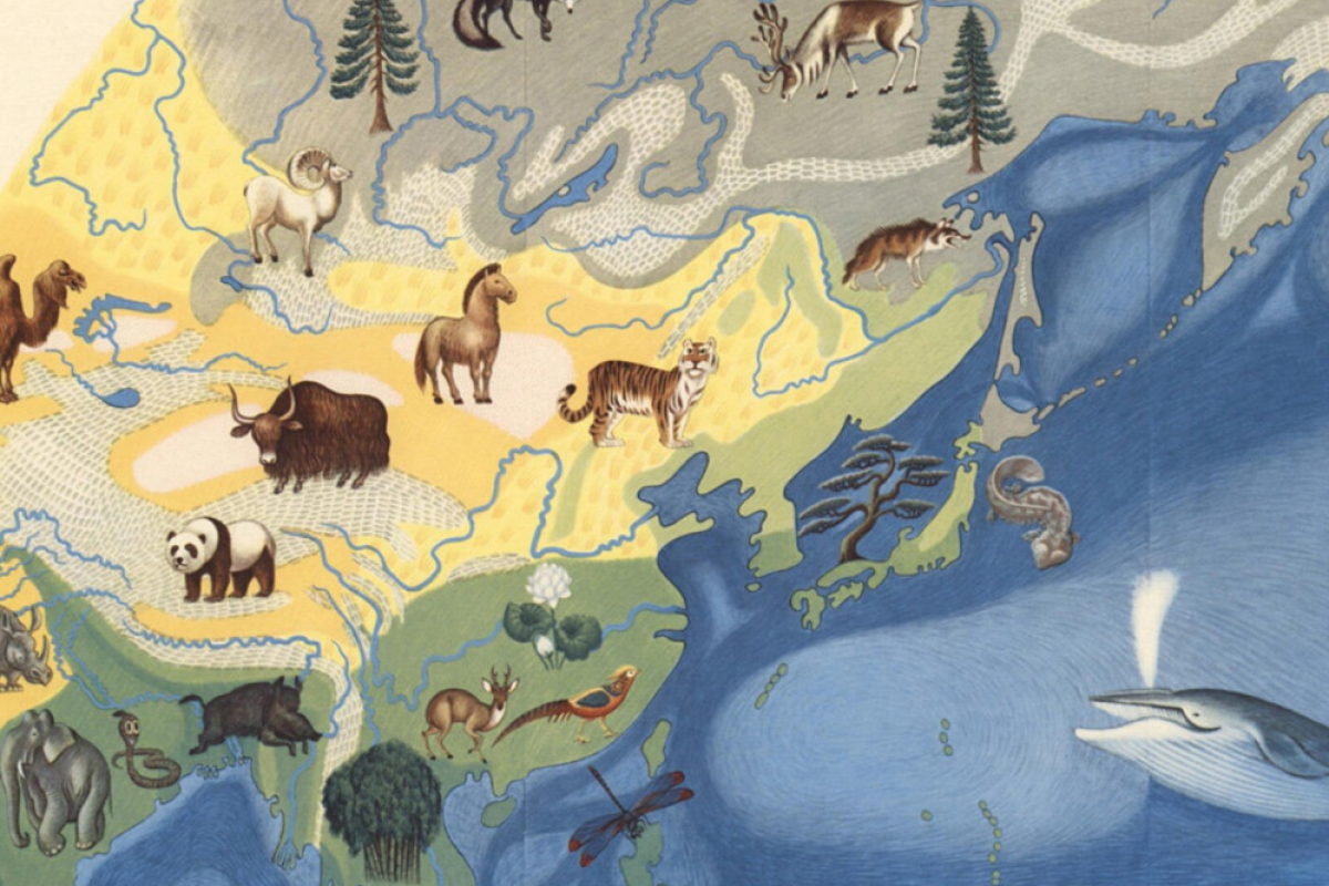 academicas_curso_cartografias artisticas